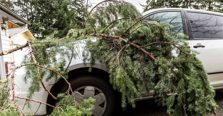Storm Damage
